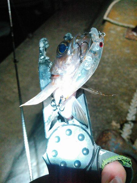 レガーメ　牙突